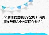 5g牌照發(fā)放哪幾個公司（5g牌照發(fā)放哪幾個公司簡介介紹）