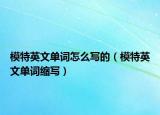 模特英文單詞怎么寫的（模特英文單詞縮寫）