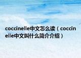 coccinelle中文怎么讀（coccinelle中文叫什么簡介介紹）