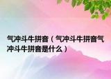 氣沖斗牛拼音（氣沖斗牛拼音氣沖斗牛拼音是什么）