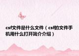 csf文件是什么文件（csf的文件手機用什么打開簡介介紹）