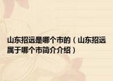 山東招遠(yuǎn)是哪個市的（山東招遠(yuǎn)屬于哪個市簡介介紹）