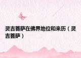 靈吉菩薩在佛界地位和來歷（靈吉菩薩）
