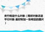 夾竹桃是什么葉脈（網(wǎng)狀葉脈還是平行葉脈 最好附加一張明顯的圖片）