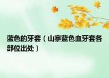 藍色的牙套（山寨藍色血牙套各部位出處）