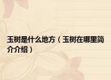 玉樹是什么地方（玉樹在哪里簡介介紹）
