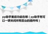 pp助手重啟功能在哪（pp助手有可以一鍵關(guān)閉所有后臺(tái)的插件嗎）