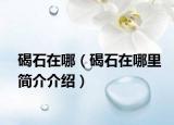 碣石在哪（碣石在哪里簡介介紹）