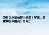 為什么家里會(huì)有山蛩蟲（家里山蛩蟲哪里來的簡(jiǎn)介介紹）