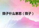 擼子什么意思（擼子）