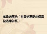 布魯諾塞納（布魯諾塞薩爾佩雷拉達(dá)席爾瓦）