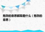 抱怨的意思解釋是什么（抱怨的意思）