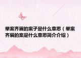 舉案齊眉的案子是什么意思（舉案齊眉的案是什么意思簡介介紹）