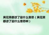 黃花菜都涼了是什么意思（黃花菜都涼了是什么意思?。? /></span></a>
                        <h2><a href=