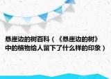 懸崖邊的樹百科（《懸崖邊的樹》中的植物給人留下了什么樣的印象）