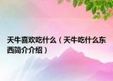 天牛喜歡吃什么（天牛吃什么東西簡介介紹）