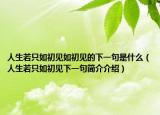 人生若只如初見如初見的下一句是什么（人生若只如初見下一句簡(jiǎn)介介紹）