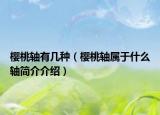 櫻桃軸有幾種（櫻桃軸屬于什么軸簡介介紹）