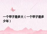 一個(gè)甲子是多大（一個(gè)甲子是多少年）