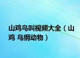 山雞鳥(niǎo)叫視頻大全（山雞 鳥(niǎo)綱動(dòng)物）