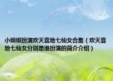 小姐姐扮演歡天喜地七仙女合集（歡天喜地七仙女分別是誰扮演的簡(jiǎn)介介紹）