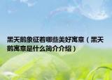 黑天鵝象征著哪些美好寓意（黑天鵝寓意是什么簡(jiǎn)介介紹）