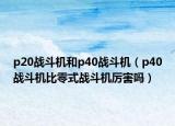 p20戰(zhàn)斗機(jī)和p40戰(zhàn)斗機(jī)（p40戰(zhàn)斗機(jī)比零式戰(zhàn)斗機(jī)厲害嗎）