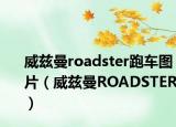 威茲曼roadster跑車圖片（威茲曼ROADSTER）