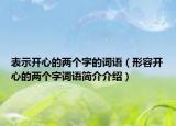 表示開心的兩個(gè)字的詞語（形容開心的兩個(gè)字詞語簡介介紹）