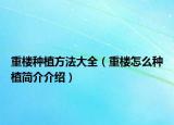 重樓種植方法大全（重樓怎么種植簡(jiǎn)介介紹）