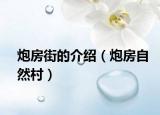 炮房街的介紹（炮房自然村）