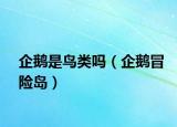 企鵝是鳥類嗎（企鵝冒險島）