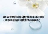 6路10寰愬窞鍩庣鏆村姏鎵ф硶浜嬩歡（江蘇徐州百名城管清理小販事件）