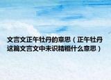 文言文正午牡丹的意思（正午牡丹這篇文言文中未識(shí)精粗什么意思）