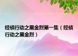 經(jīng)偵行動(dòng)之黑金烈第一集（經(jīng)偵行動(dòng)之黑金烈）