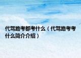 代駕路考都考什么（代駕路考考什么簡介介紹）