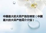 中國最大的大蒜產(chǎn)地在哪里（中國最大的大蒜產(chǎn)地簡介介紹）
