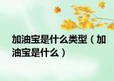 加油寶是什么類型（加油寶是什么）
