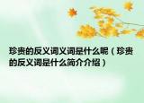 珍貴的反義詞義詞是什么呢（珍貴的反義詞是什么簡(jiǎn)介介紹）