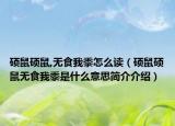 碩鼠碩鼠,無(wú)食我黍怎么讀（碩鼠碩鼠無(wú)食我黍是什么意思簡(jiǎn)介介紹）