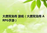 大唐雙龍傳 游戲（大唐雙龍傳 ARPG手游）