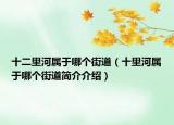 十二里河屬于哪個(gè)街道（十里河屬于哪個(gè)街道簡介介紹）