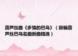 葫蘆絲曲《多情的巴烏》（新編葫蘆絲巴烏名曲新曲精選）