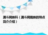 漏斗網(wǎng)蛛科（漏斗網(wǎng)蜘蛛的特點(diǎn)簡介介紹）