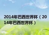 2014年巴西世界杯（2014年巴西世界杯）