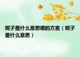 妮子是什么意思哪的方言（妮子是什么意思）