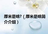 厚米是啥?（厚米是啥簡(jiǎn)介介紹）