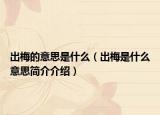 出梅的意思是什么（出梅是什么意思簡介介紹）