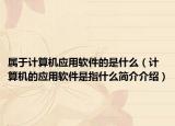 屬于計(jì)算機(jī)應(yīng)用軟件的是什么（計(jì)算機(jī)的應(yīng)用軟件是指什么簡(jiǎn)介介紹）