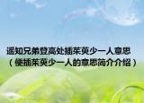 遙知兄弟登高處插茱萸少一人意思（便插茱萸少一人的意思簡介介紹）